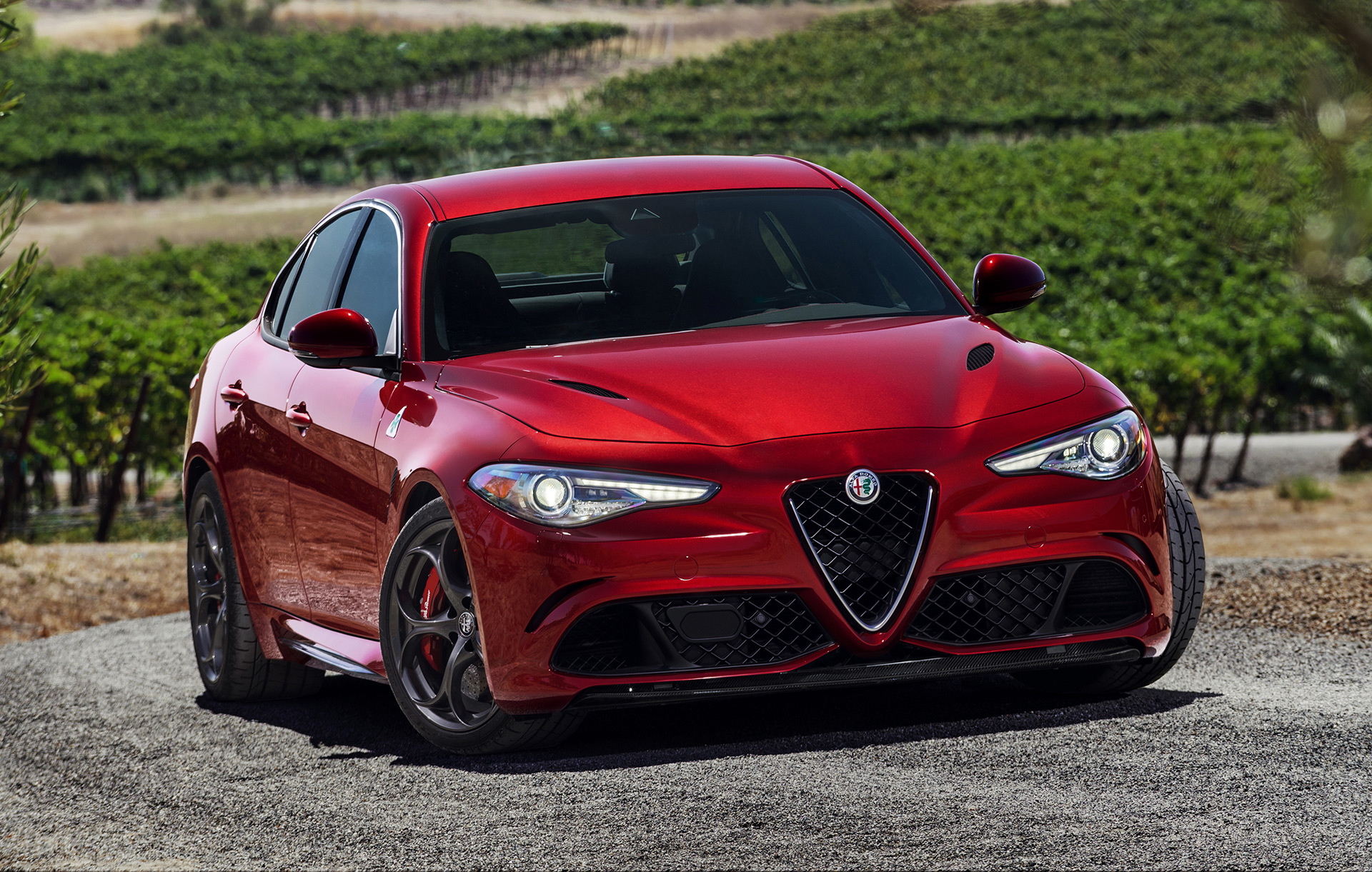 Alfa Romeo Drops Plans For Giulia Wagon