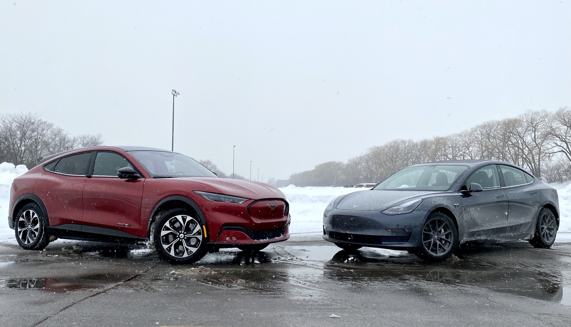 Electric-car rivalry heats up: Just 4% of Tesla shoppers will only ...