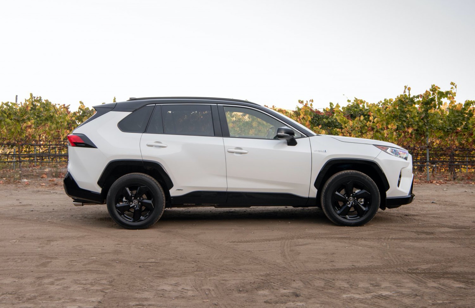 2021 Toyota RAV4: 40-mpg Hybrid becomes the norm, as lineup expands