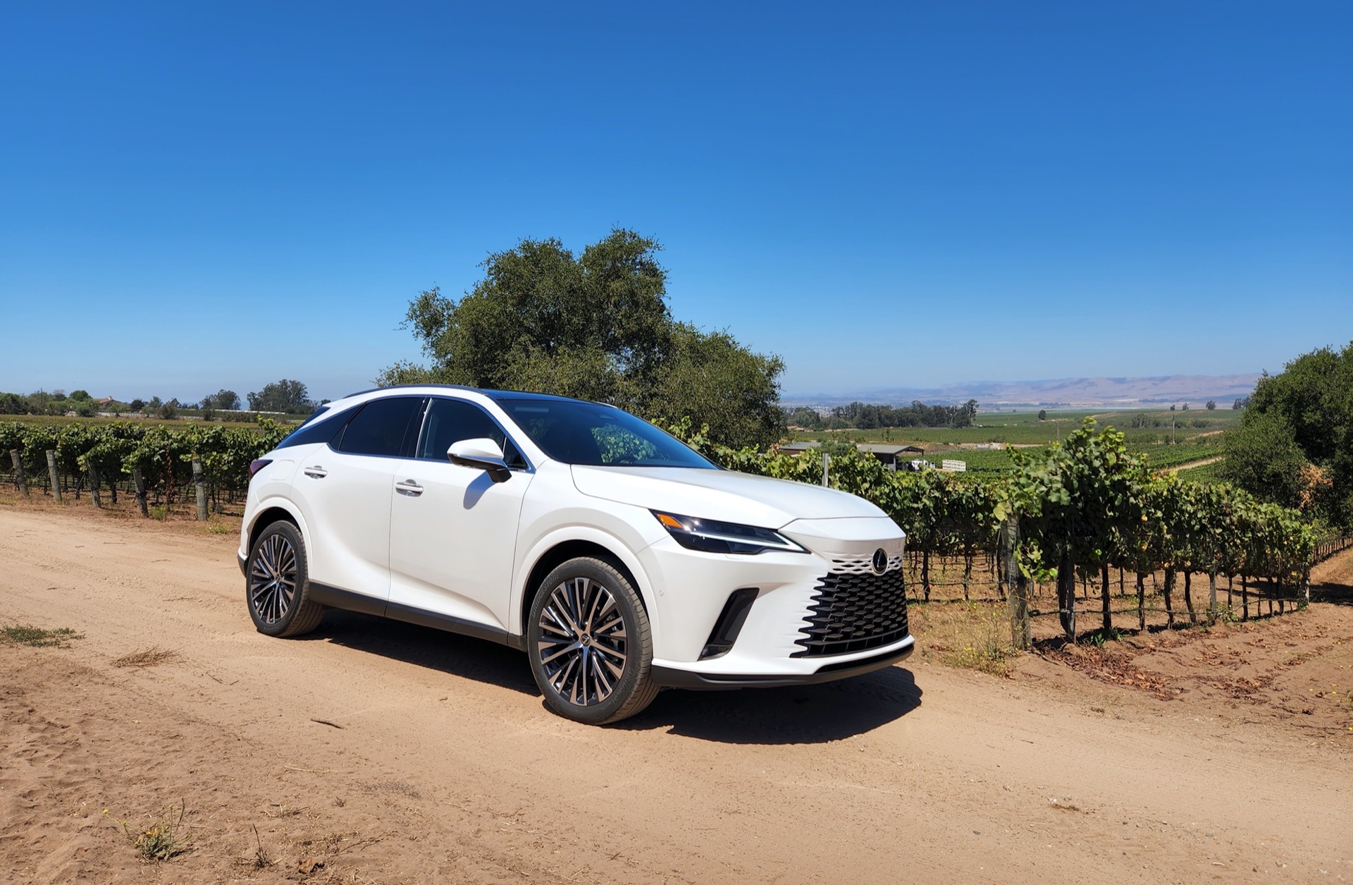 Review: 2023 Lexus RX 450h+ plug-in hybrid falls short of prime mover