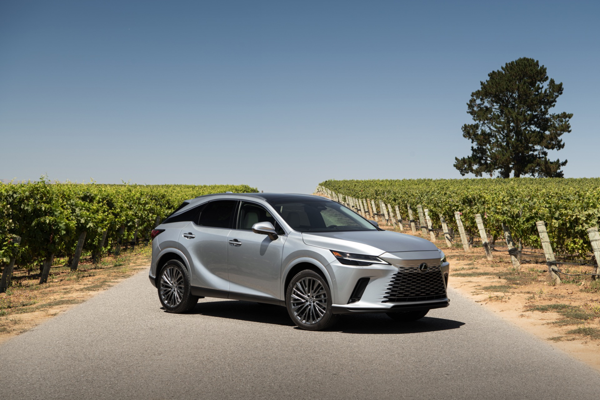What’s New for 2023: Lexus