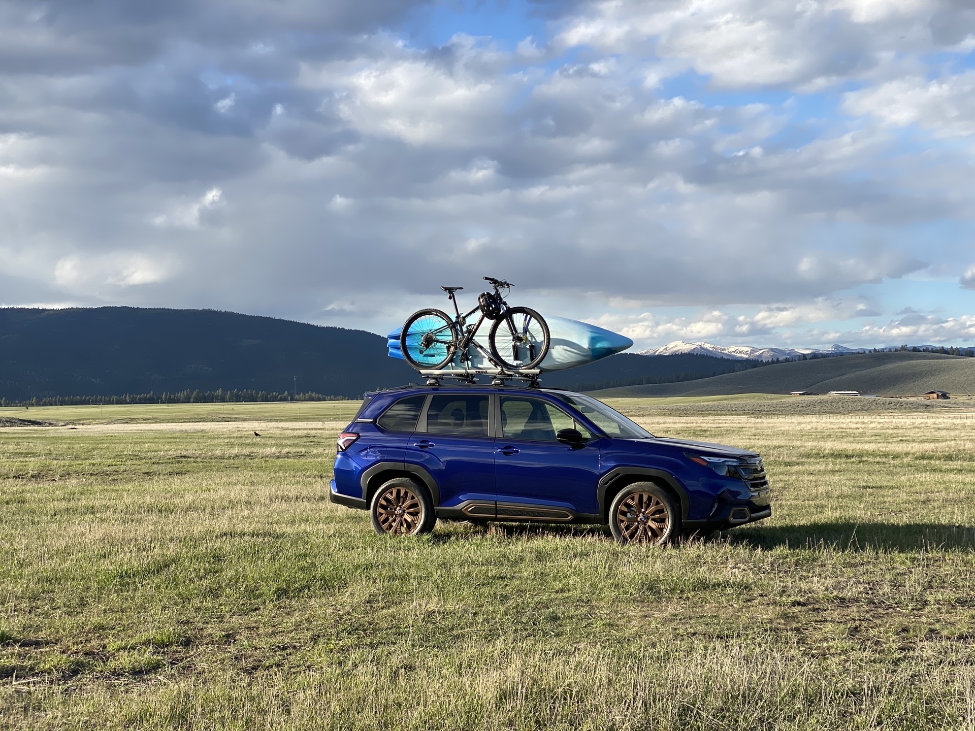2025 Subaru Forester, Hyundai Sonata top this week’s reviews