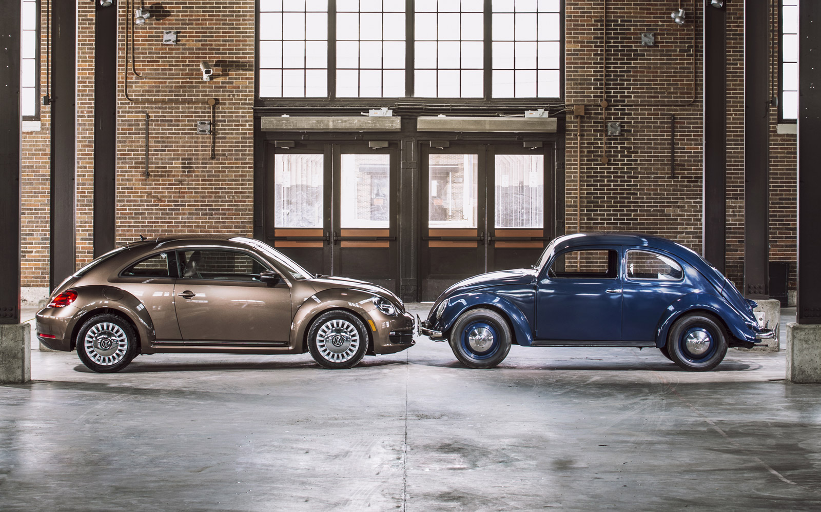 VW Beetle Celebrates 65 Years In U.S. (With A Few Missing)