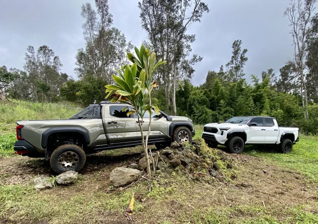 2024 Toyota Tacoma TRD Pro, white, and Tacoma Trailhunter, green