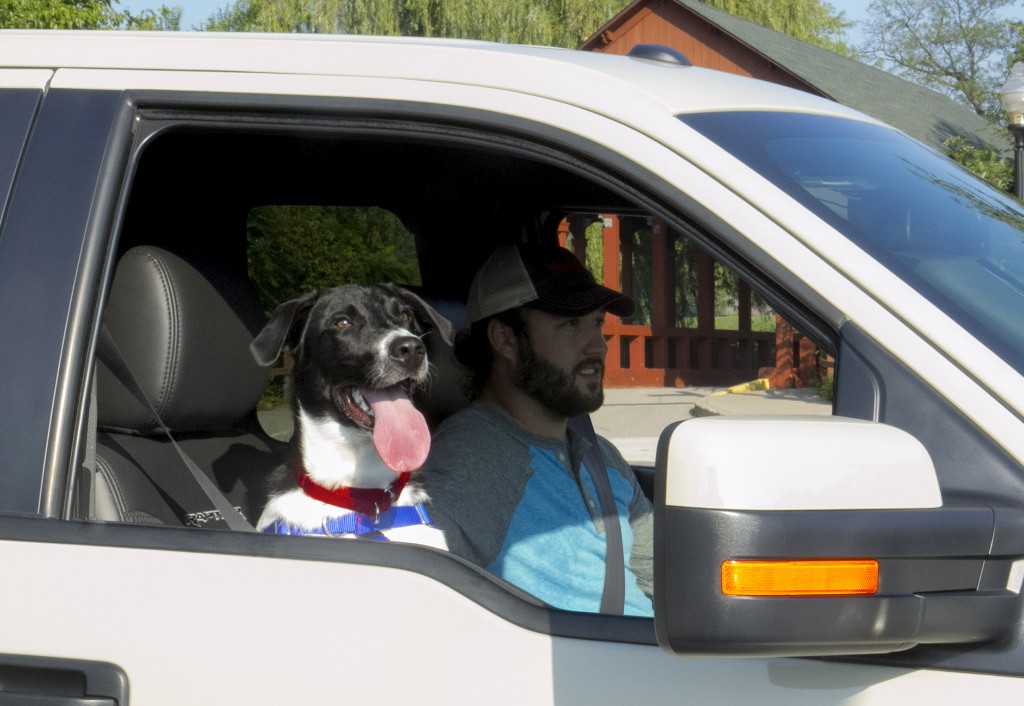 Ford & The Humane Association Tell Pickup Owners: Keep Dogs Out Of Truck Beds lead image