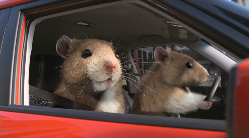 Kia's Hamsters Scurry Off With Nielsen's Top Ad Award At The 2011 New York  Auto Show