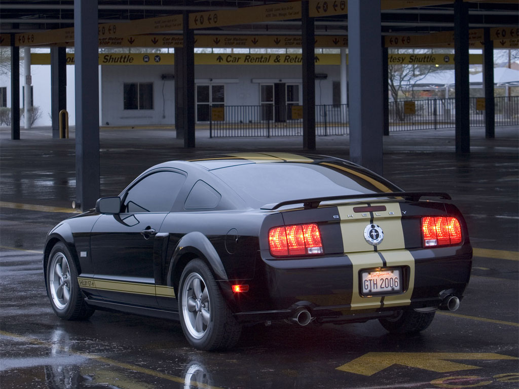 shelbygth06_08.jpg