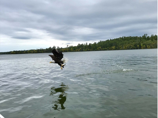2018 Infiniti QX80 on a Canadian fishing adventure