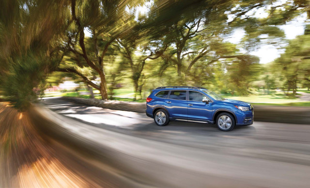 Adatto per Subaru Ascent 2019-2025 griglia per finestre modulare roXterra - Italia