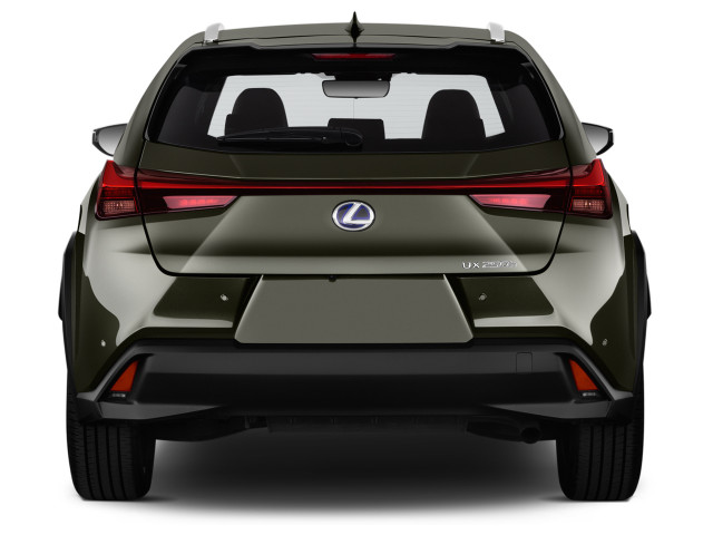 2020 Lexus UX Review, Ratings, Specs, Prices, and Photos - The Car