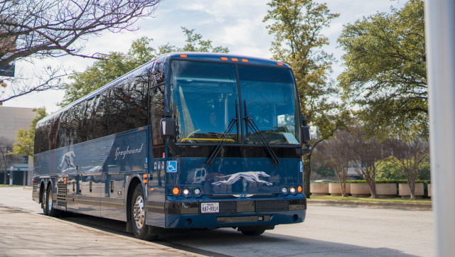 British owner puts Greyhound bus line up for sale