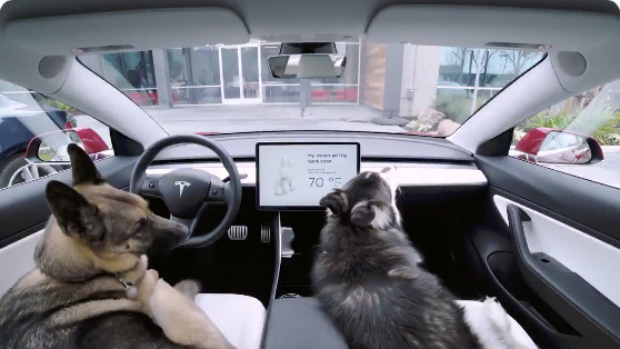 Tesla's Sentry and Dog Modes are rolling out now