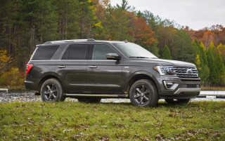 2020 Ford Expedition image