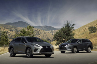 Updated 2020 Lexus RX and RX-L crossovers add Android Auto, costs $45,175 to start post thumbnail