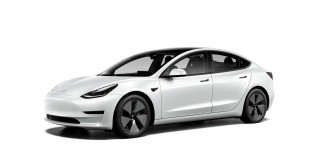 2021 Tesla Model 3 image
