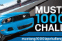 1000 Lap Challenge Mustang