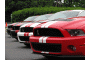 2011 Ford Shelby GT500 First Drive